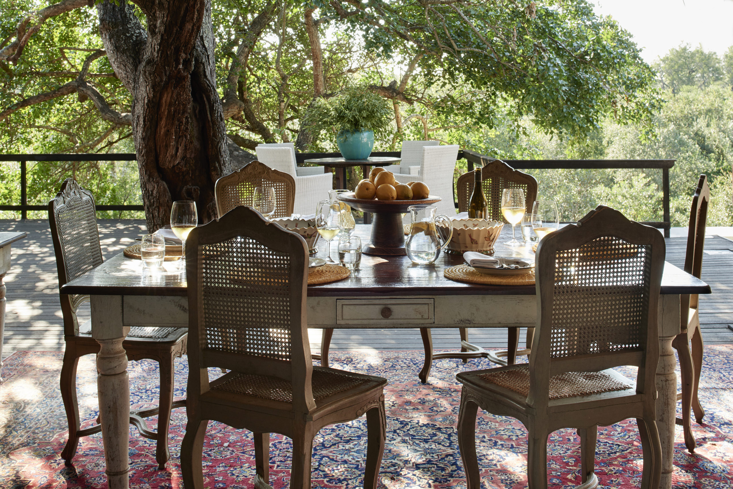 Royal Malewane, Mark Williams